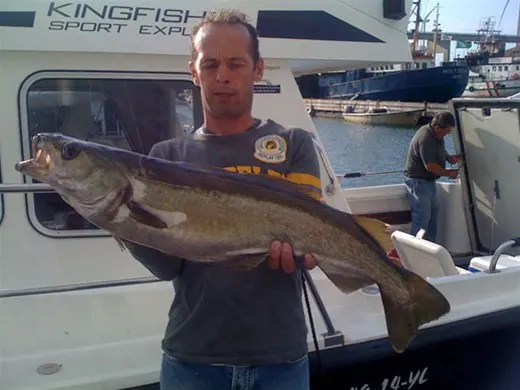 Visser met een grote kabeljauw in de haven