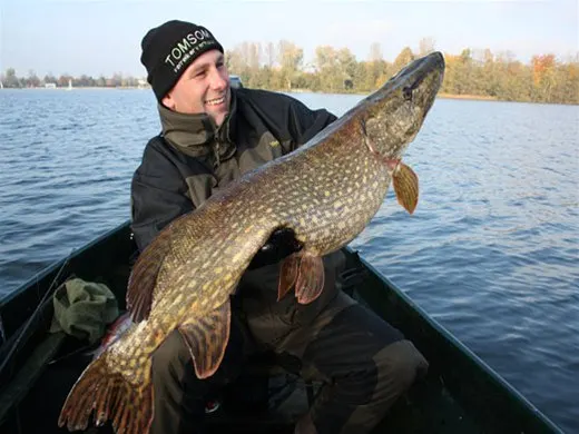 Visser in een bootje met een grote snoek