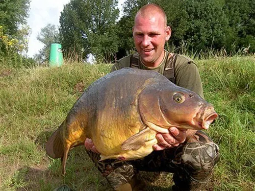 Visser met een grote karper in het gras