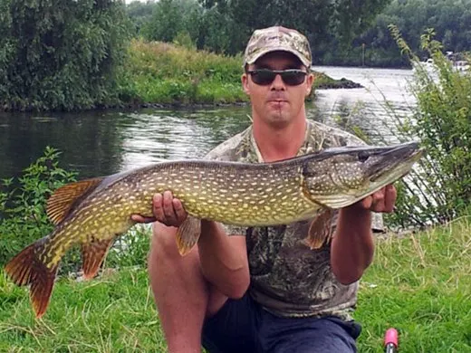 Visser met een snoek langs de oever