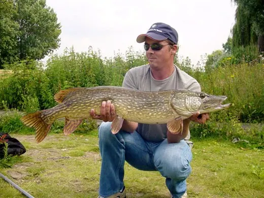 Visser met een snoek in het gras